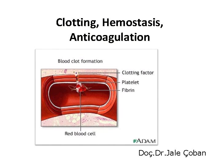 Clotting, Hemostasis, Anticoagulation Doç. Dr. Jale Çoban 