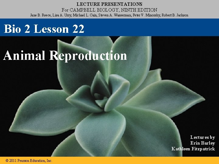 LECTURE PRESENTATIONS For CAMPBELL BIOLOGY, NINTH EDITION Jane B. Reece, Lisa A. Urry, Michael