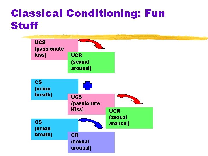 Classical Conditioning: Fun Stuff UCS (passionate kiss) CS (onion breath) UCR (sexual arousal) UCS