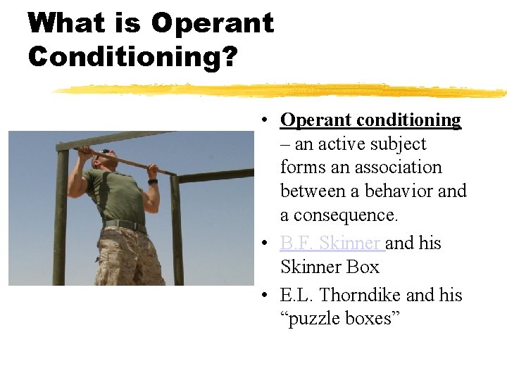 What is Operant Conditioning? • Operant conditioning – an active subject forms an association