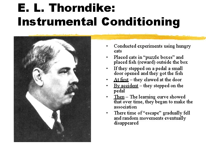 E. L. Thorndike: Instrumental Conditioning • • Conducted experiments using hungry cats Placed cats