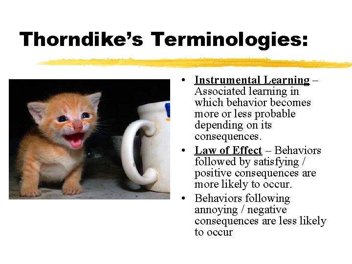 Thorndike’s Terminologies: • Instrumental Learning – Associated learning in which behavior becomes more or