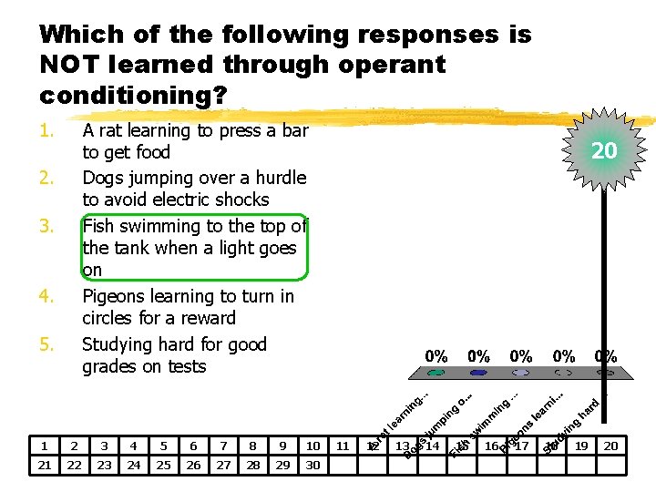 Which of the following responses is NOT learned through operant conditioning? 1. A rat