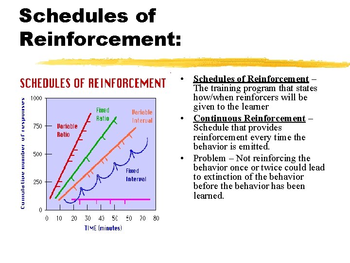 Schedules of Reinforcement: • Schedules of Reinforcement – The training program that states how/when