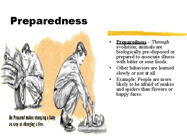 Preparedness • Preparedness – Through evolution, animals are biologically pre-disposed or prepared to associate