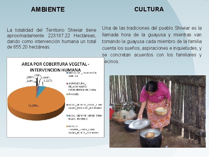 AMBIENTE La totalidad del Territorio Shiwiar tiene aproximadamente 223187. 22 Hectáreas, dando como intervención