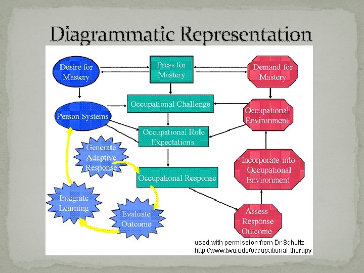 Diagrammatic Representation 