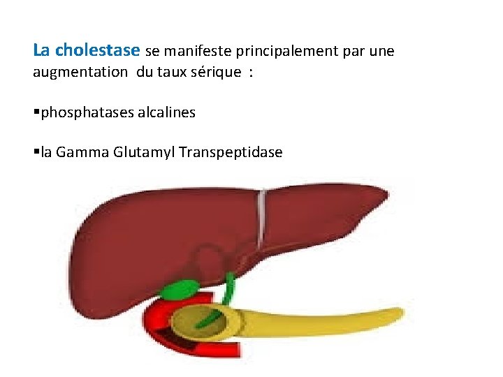 La cholestase se manifeste principalement par une augmentation du taux sérique : §phosphatases alcalines