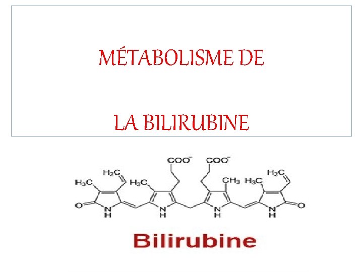 MÉTABOLISME DE LA BILIRUBINE 