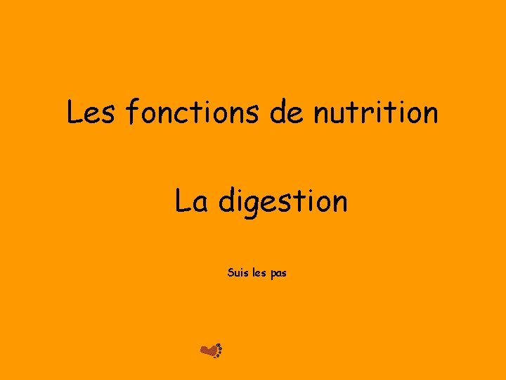 Les fonctions de nutrition La digestion Suis les pas 