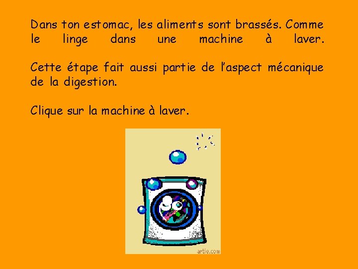 Dans ton estomac, les aliments sont brassés. Comme le linge dans une machine à
