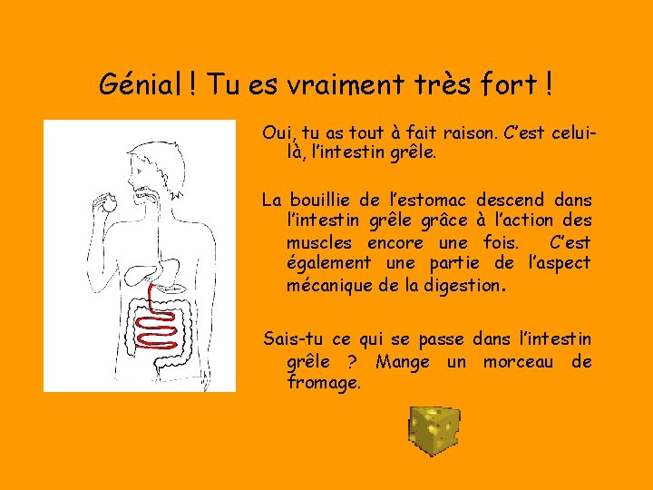 Génial ! Tu es vraiment très fort ! Oui, tu as tout à fait