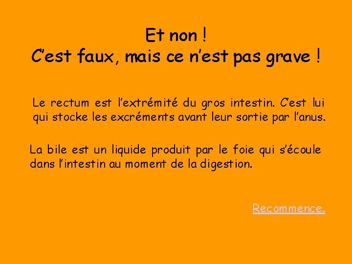 Et non ! C’est faux, mais ce n’est pas grave ! Le rectum est