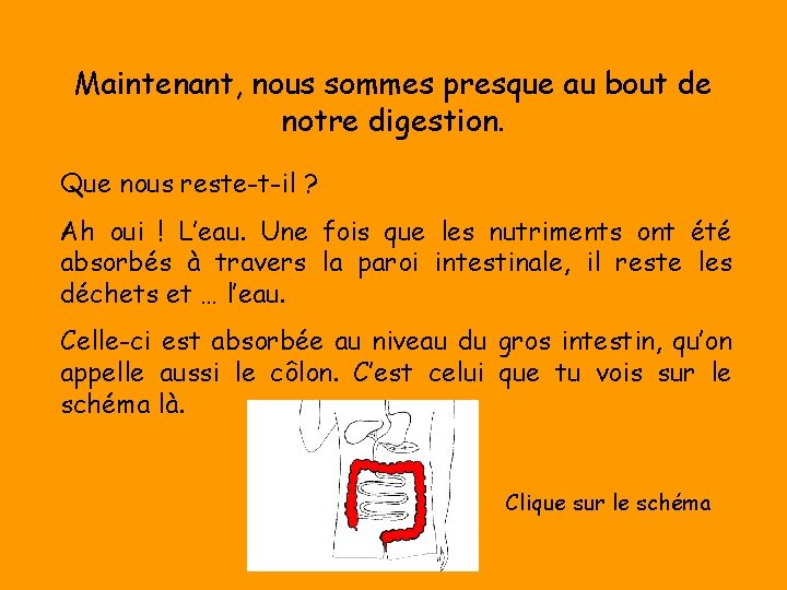 Maintenant, nous sommes presque au bout de notre digestion. Que nous reste-t-il ? Ah