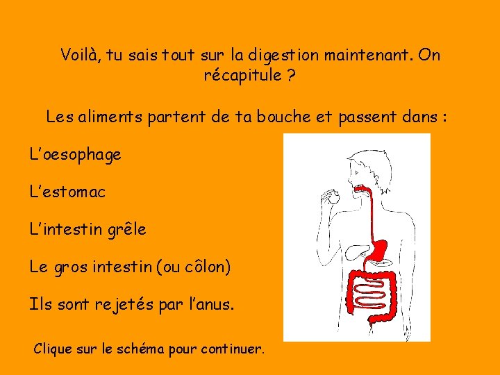 Voilà, tu sais tout sur la digestion maintenant. On récapitule ? Les aliments partent