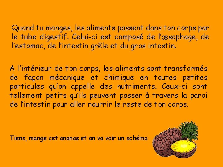 Quand tu manges, les aliments passent dans ton corps par le tube digestif. Celui-ci