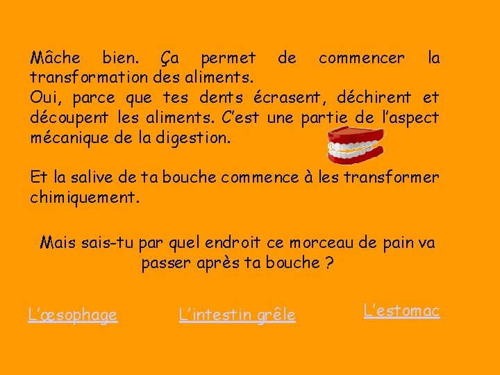 Mâche bien. Ça permet de commencer la transformation des aliments. Oui, parce que tes