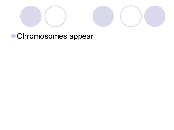 l Chromosomes appear 
