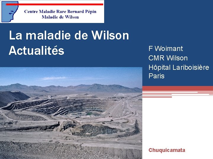 La maladie de Wilson Actualités F Woimant CMR Wilson Hôpital Lariboisière Paris Chuquicamata 