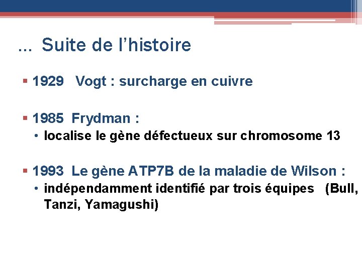 . . . Suite de l’histoire § 1929 Vogt : surcharge en cuivre §