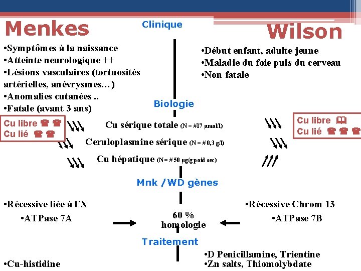 Menkes • Symptômes à la naissance • Atteinte neurologique ++ • Lésions vasculaires (tortuosités
