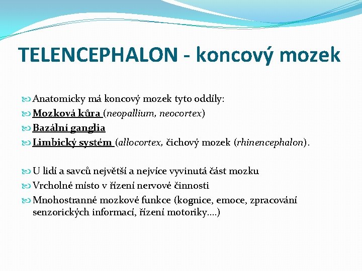 TELENCEPHALON - koncový mozek Anatomicky má koncový mozek tyto oddíly: Mozková kůra (neopallium, neocortex)