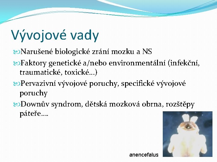 Vývojové vady Narušené biologické zrání mozku a NS Faktory genetické a/nebo environmentální (infekční, traumatické,