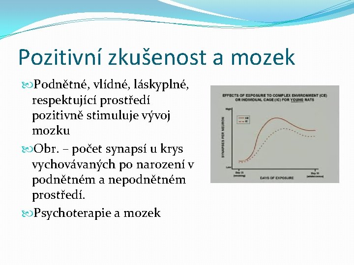 Pozitivní zkušenost a mozek Podnětné, vlídné, láskyplné, respektující prostředí pozitivně stimuluje vývoj mozku Obr.