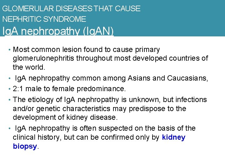 GLOMERULAR DISEASES THAT CAUSE NEPHRITIC SYNDROME Ig. A nephropathy (Ig. AN) • Most common