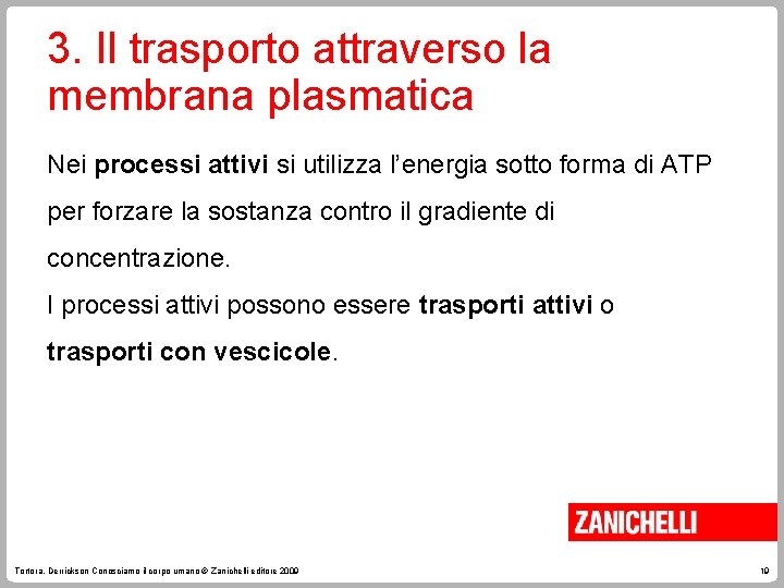 3. Il trasporto attraverso la membrana plasmatica Nei processi attivi si utilizza l’energia sotto