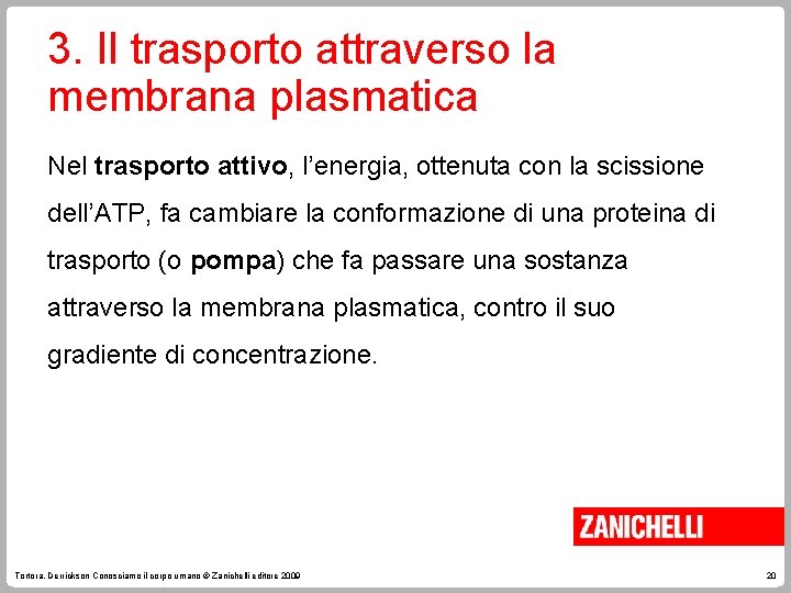 3. Il trasporto attraverso la membrana plasmatica Nel trasporto attivo, l’energia, ottenuta con la