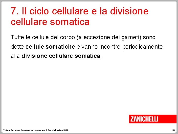 7. Il ciclo cellulare e la divisione cellulare somatica Tutte le cellule del corpo