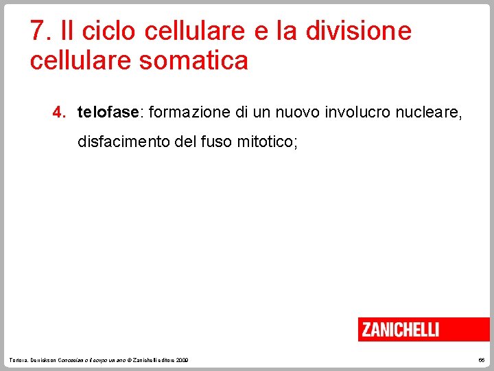 7. Il ciclo cellulare e la divisione cellulare somatica 4. telofase: formazione di un