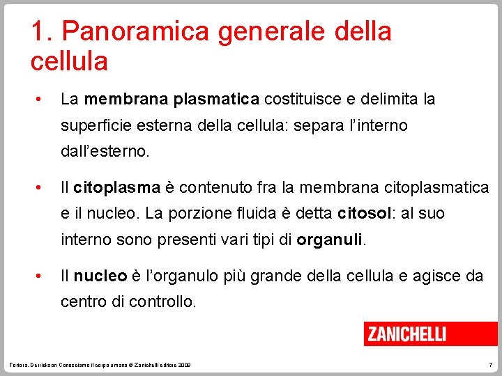 1. Panoramica generale della cellula • La membrana plasmatica costituisce e delimita la superficie