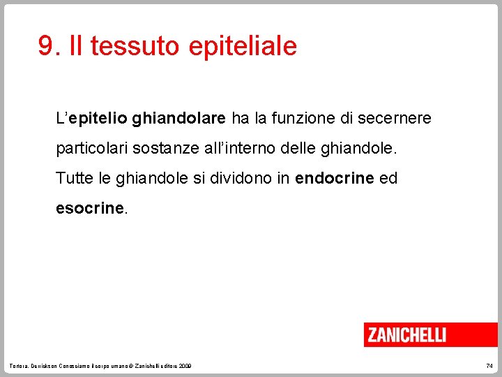 9. Il tessuto epiteliale L’epitelio ghiandolare ha la funzione di secernere particolari sostanze all’interno