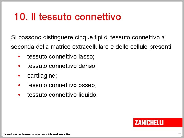 10. Il tessuto connettivo Si possono distinguere cinque tipi di tessuto connettivo a seconda