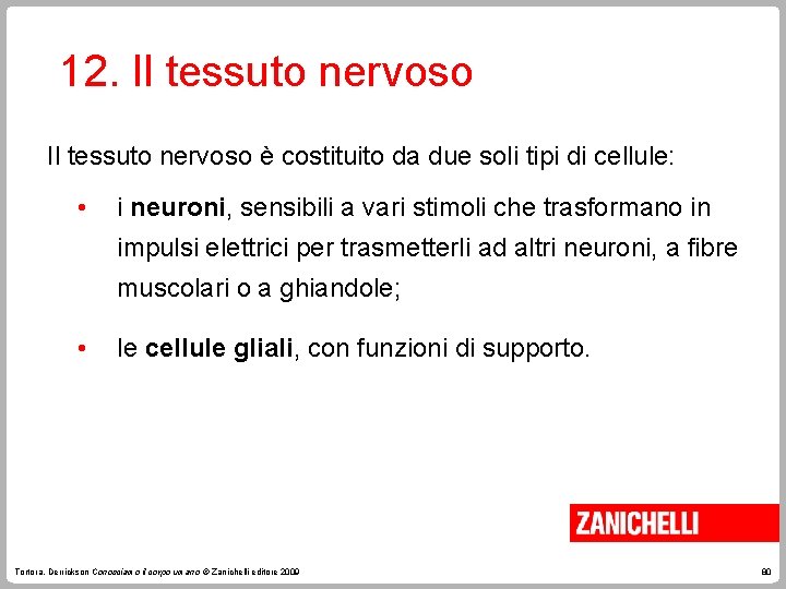 12. Il tessuto nervoso è costituito da due soli tipi di cellule: • i