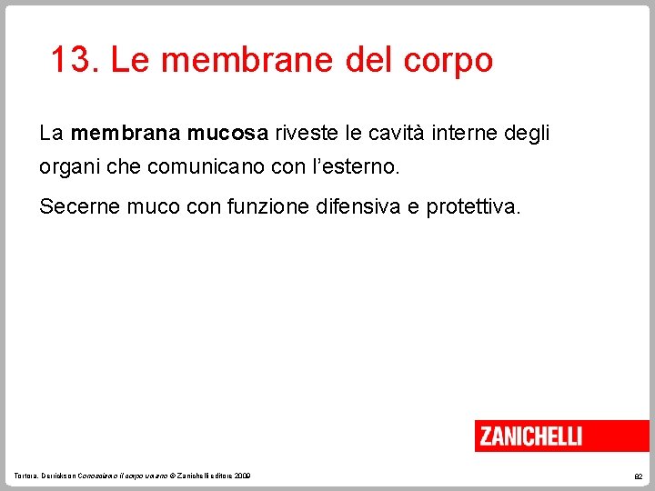 13. Le membrane del corpo La membrana mucosa riveste le cavità interne degli organi