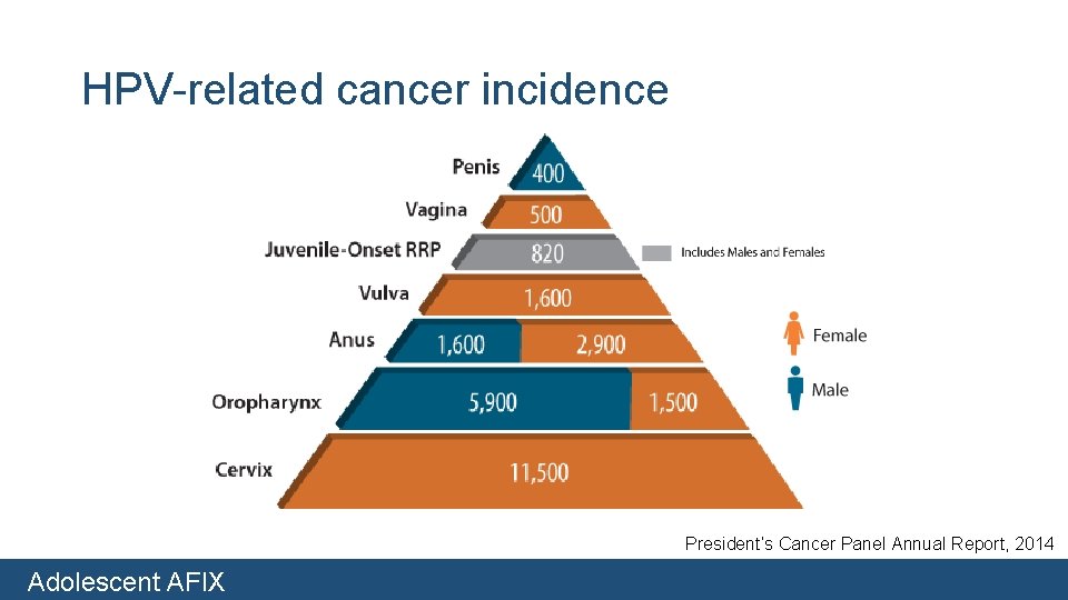 HPV-related cancer incidence President’s Cancer Panel Annual Report, 2014 Adolescent AFIX 