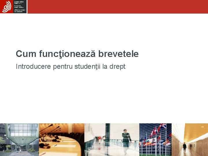 Cum funcţionează brevetele Introducere pentru studenţii la drept 1 