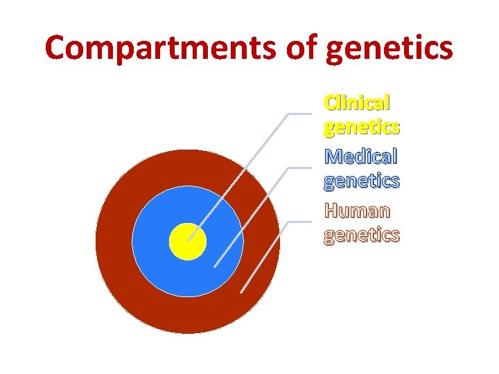 Compartments of genetics Clinical genetics Medical genetics Human genetics 