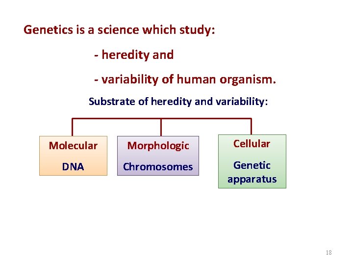 Genetics is a science which study: - heredity and - variability of human organism.