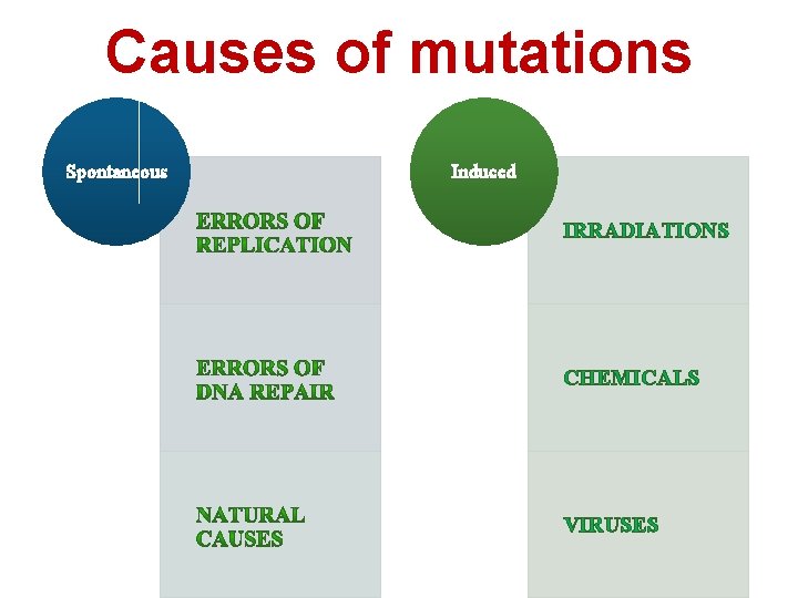 Causes of mutations Spontaneous Induced IRRADIATIONS CHEMICALS VIRUSES 