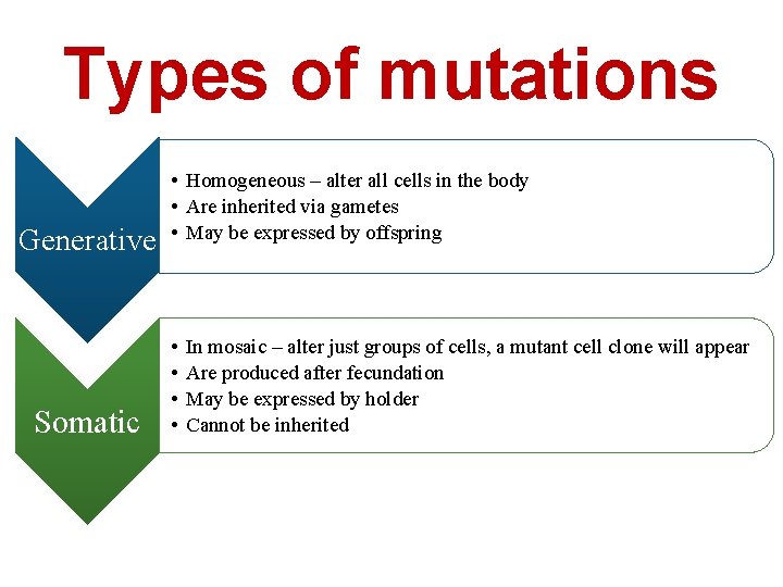 Types of mutations Generative Somatic • Homogeneous – alter all cells in the body