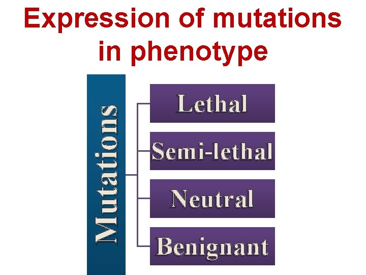 Mutations Expression of mutations in phenotype Lethal Semi-lethal Neutral Benignant 