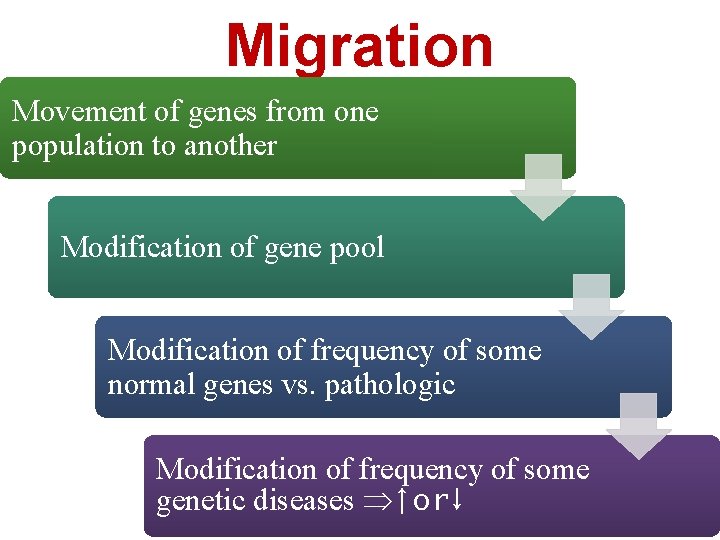 Migration Movement of genes from one population to another Modification of gene pool Modification