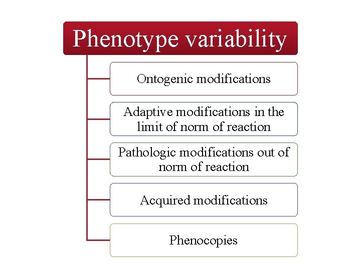 Phenotype variability Ontogenic modifications Adaptive modifications in the limit of norm of reaction Pathologic