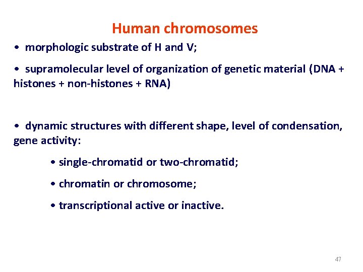 Human chromosomes • morphologic substrate of H and V; • supramolecular level of organization