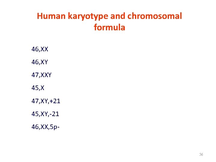 Human karyotype and chromosomal formula 46, XX 46, XY 47, XXY 45, X 47,