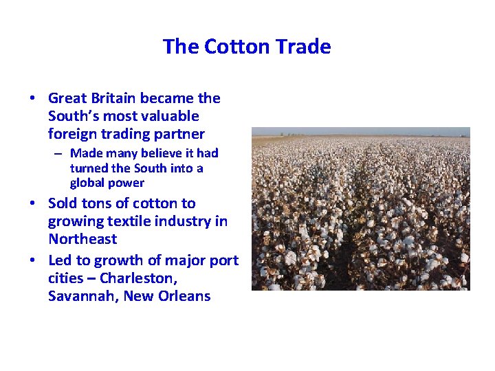 The Cotton Trade • Great Britain became the South’s most valuable foreign trading partner The Cotton Trade • Great Britain became the South’s most valuable foreign trading partner
